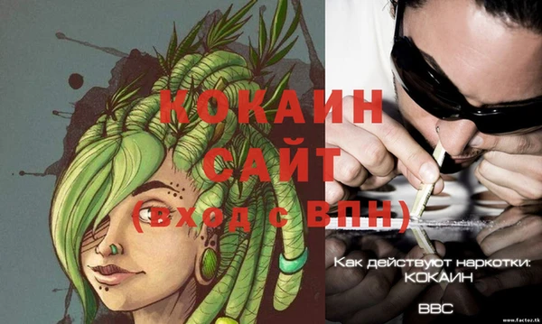 PSILOCYBIN Покачи