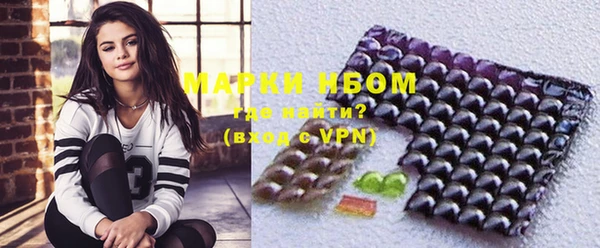 PSILOCYBIN Покачи