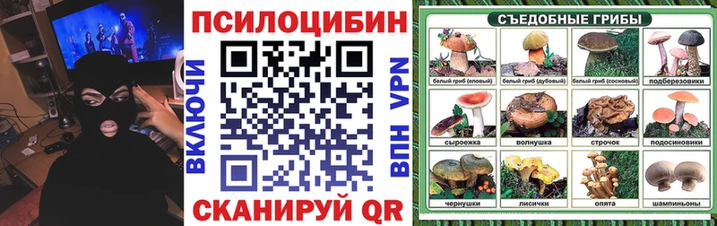 Псилоцибиновые грибы Psilocybe Каменногорск